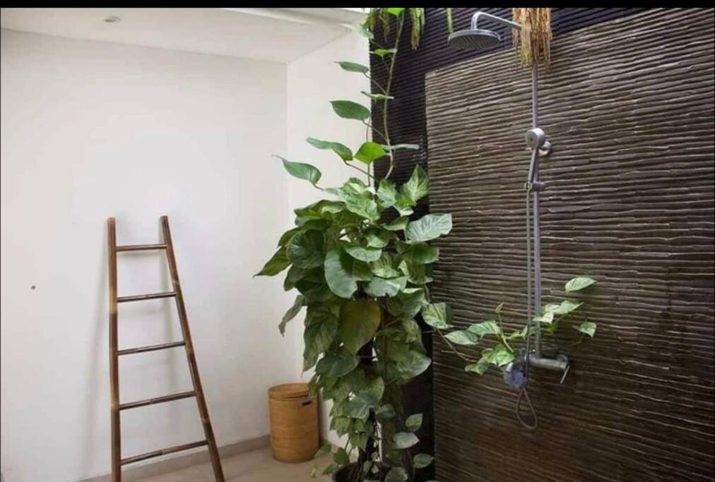 Umara Bali X Aydin Kerobokan Bali Villa Seminyak (Bali)