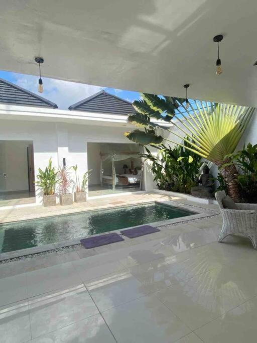 Umara Bali X Aydin Kerobokan Bali